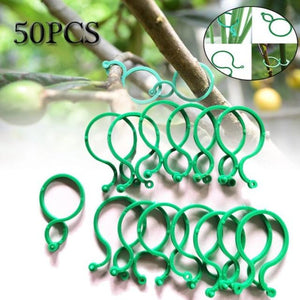 trellis clips - Gardening Plants And Flowers