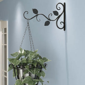 plant hanger - Gardening Plants And Flowers